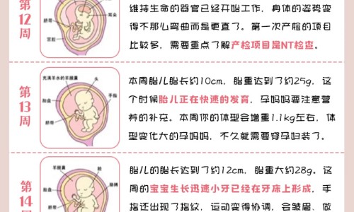 哺乳期可不可以吃退烧药专区_哺乳期不能吃退烧药吗专区_哺乳期可不可以吃退烧药网