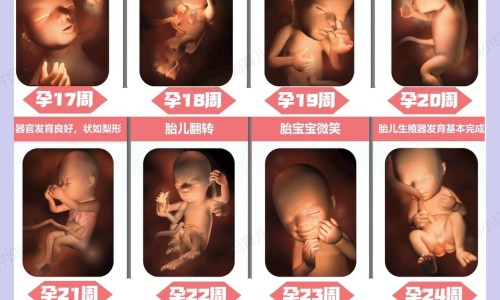 哺乳期可不可以吃退烧药专区_哺乳期不能吃退烧药吗专区_哺乳期可不可以吃退烧药网